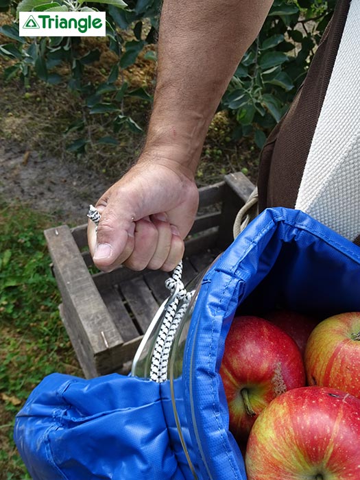 Panier de récolte